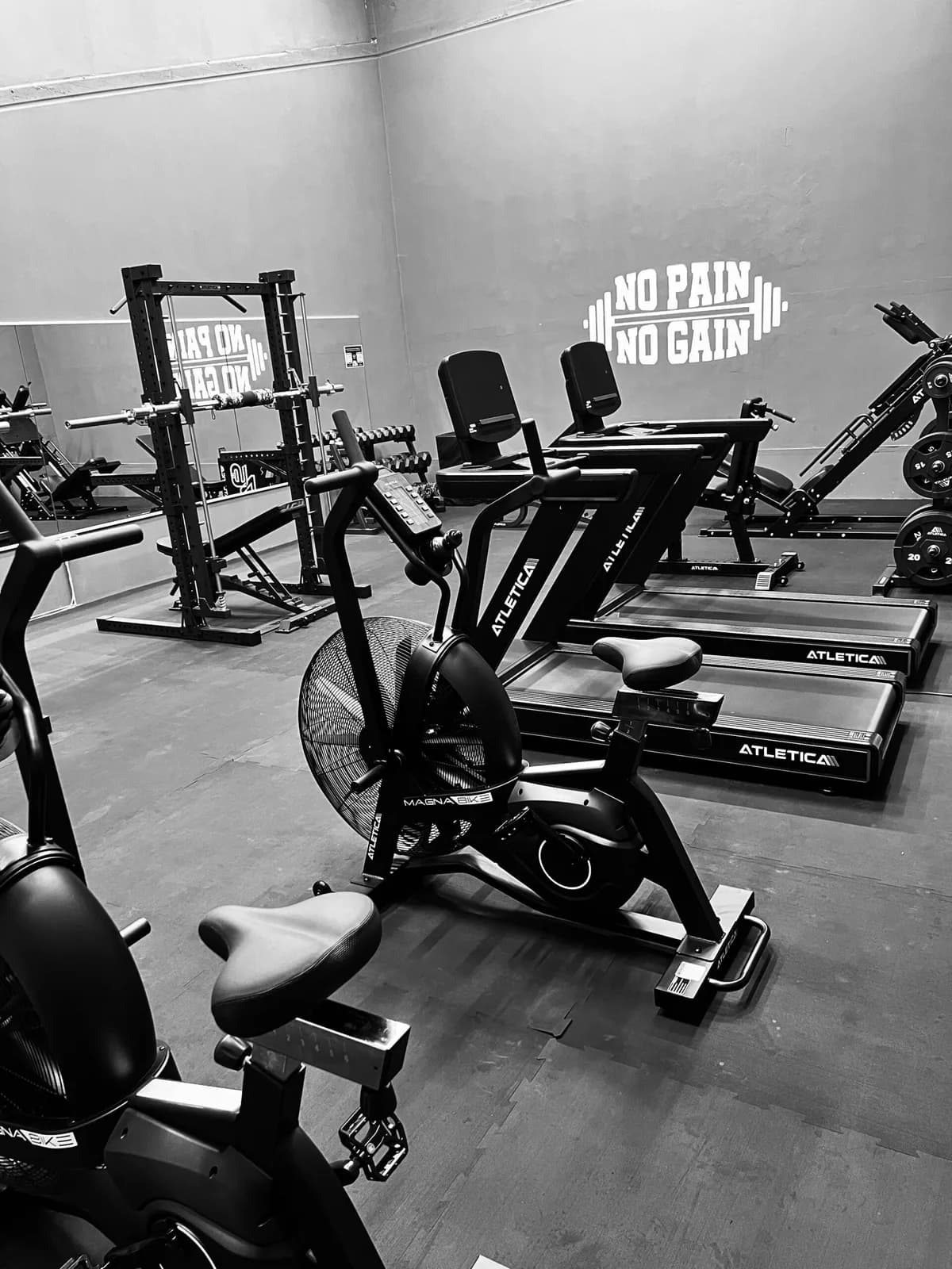 Trainingsgeräte und Freihantelbereich im BCC-Gym