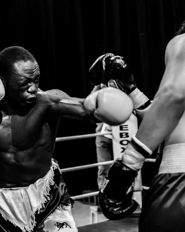 Trainer Thaimko, Boxen & K1